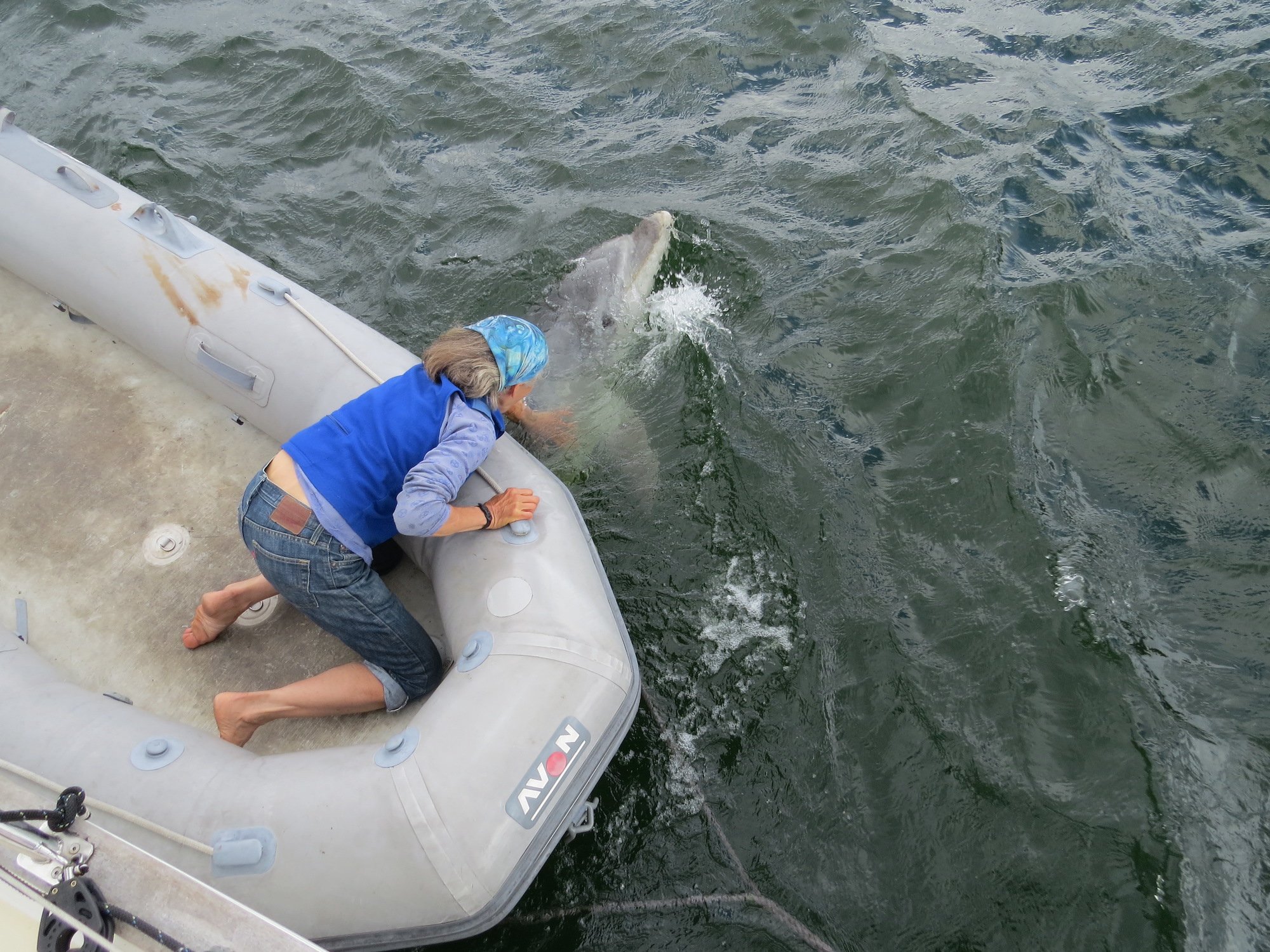 希少　The English Channel by Nigel Calder 445: Nigel Calder // The Perfect Cruising Boat